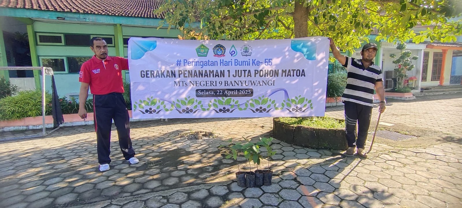 Hijaukan Madrasah, MTsN 9 Banyuwangi Tanam Pohon Matoa dalam Rangka Hari Bumi ke-55